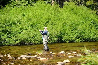 DSC_0218 (Large).JPG